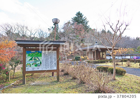大悲山大蛇物語公園 37804205