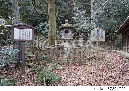 関蝉丸神社時雨灯籠 関蝉丸神社時雨灯籠 37804765