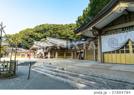 福岡護国神社 37804784