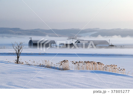 冬の朝の風景 冬の朝の風景 37805277