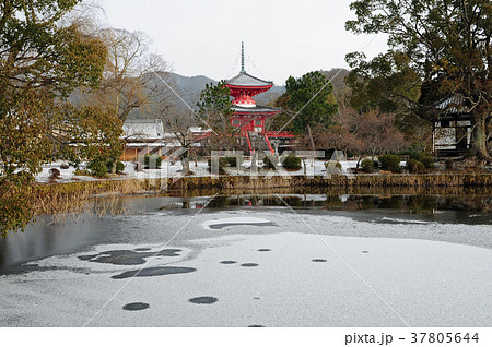 冬の大覚寺１ 37805644