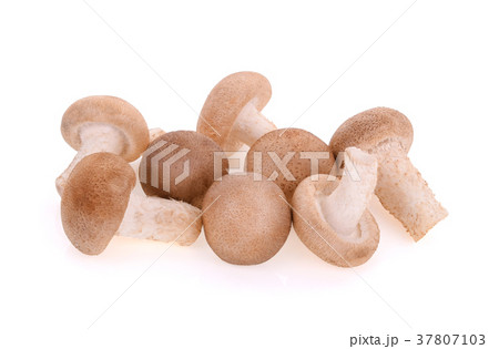 Shiitake mushrooms on white background 37807103
