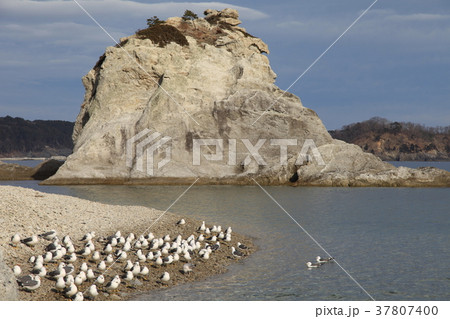 岩手 浄土ヶ浜5 岩手 浄土ヶ浜5 37807400