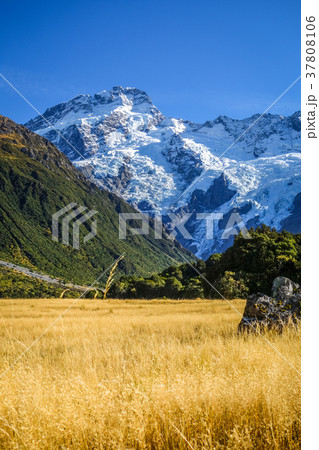 Mount Cook valley landscape, New Zealand Mount Cook valley landscape, New Zealand 37808106