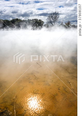 Hot springs lake in Rotorua, New Zealand Hot springs lake in Rotorua, New Zealand 37808107
