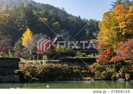 秋の飛騨の里 飛騨高山 37808139