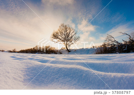 Beautiful winter landscape at the morning 37808797