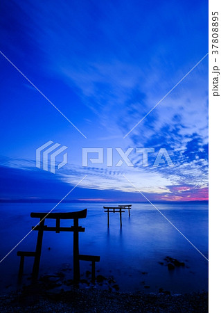 海中鳥居 (太良町) 海中鳥居 (太良町) 37808895