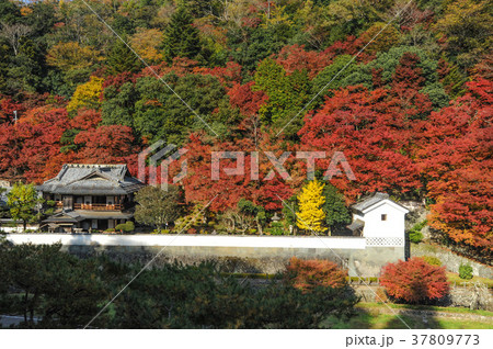 島根県津和野の堀庭園の紅葉の写真素材