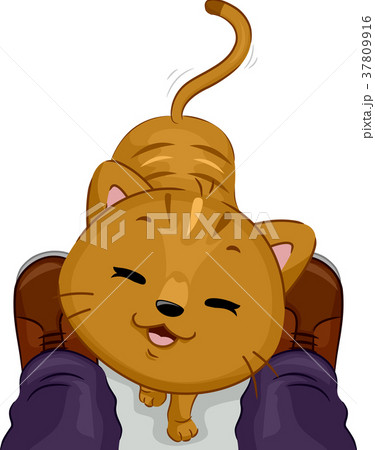 Animal Cute Cat Feet Rub 37809916