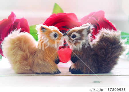 Two squirrels are giving candy with red rose 37809923