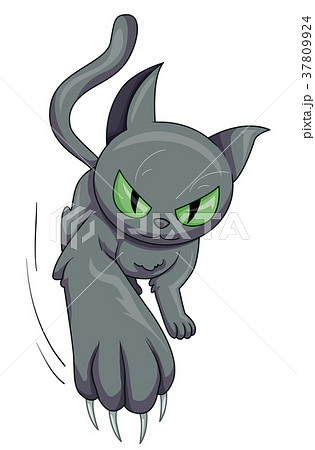 Gray Cat Scratch Claw 37809924
