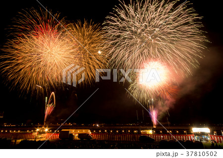 花火 37810502