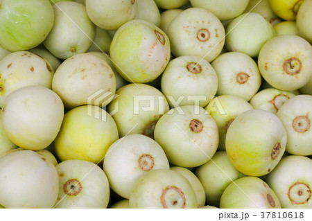 緑色 緑 グリーン 37810618