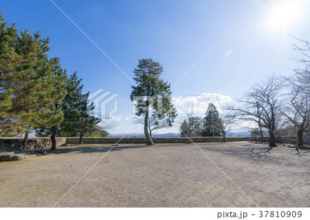 松阪城3816 松阪城3816 37810909