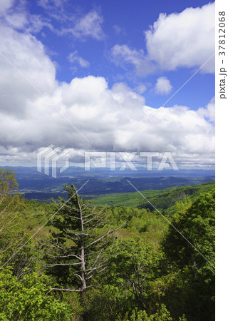 この庭で天狗が舞い遊んだという「天狗の庭」から福島市街地と阿武隈山地を望む 37812068