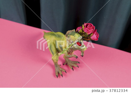 curtain dinosaure eating red roses flower curtain dinosaure eating red roses flower 37812334