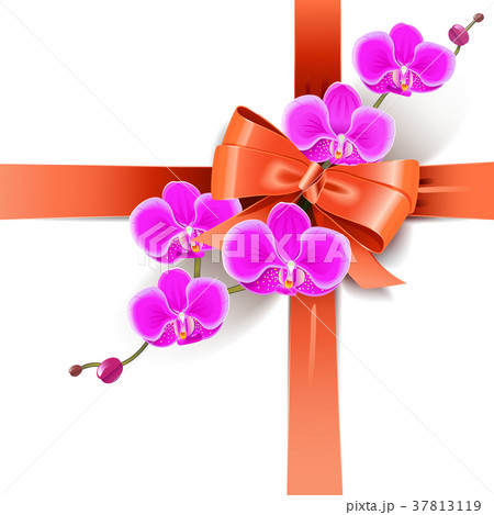 Vector Decorative Bow with Orchids Vector Decorative Bow with Orchids 37813119