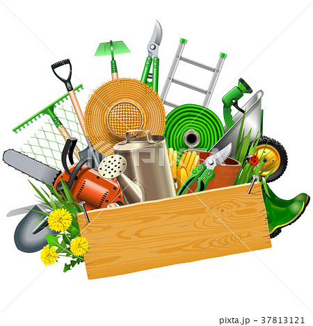 Vector Gardening Concept with Wooden Plank 37813121