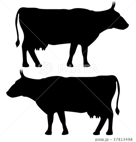 Cow icon black color set Flat illustration 37813498