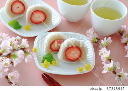 いちご大福 桜の花 いちご大福 桜の花 37813915