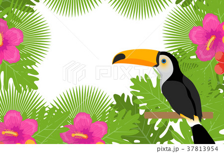 Tropical frame with flowers, plants and bird 37813954