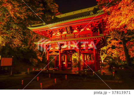 大雄山 宝鏡寺 大雄山 宝鏡寺 37813971