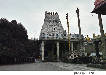 カーンチープラム　ワラダラージャ寺院 37813995