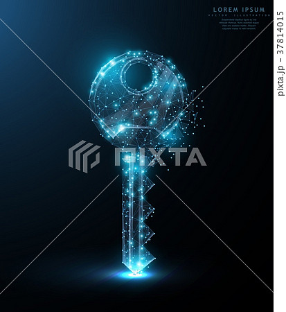 Key. Polygonal wireframe mesh art with crumbled 37814015