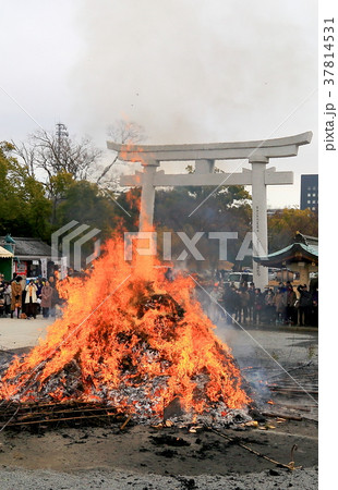護国神社　とんど 37814531