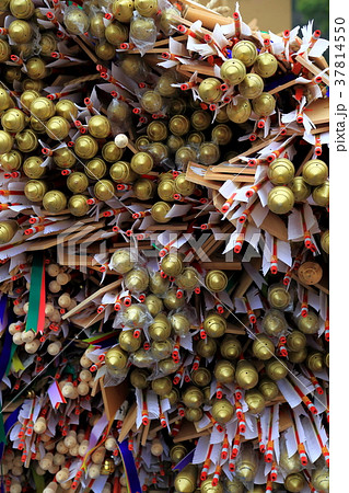 護国神社 とんど 護国神社 とんど 37814550