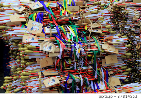 護国神社 とんど 護国神社 とんど 37814553