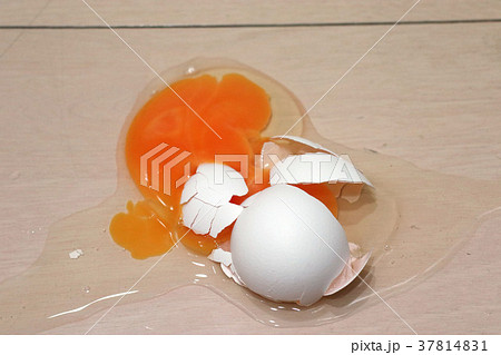 落ちて割れた生卵の写真素材