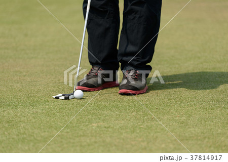 Golfer putting golf ball on the green golf Golfer putting golf ball on the green golf 37814917