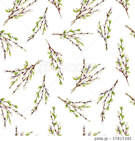 Watercolor willow tree branches pattern 37815392