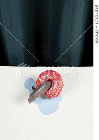 curtain water splash and dolphin donut 37815393