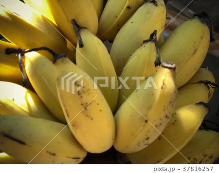 ripe yellow bananas, Ready to eat ripe yellow bananas, Ready to eat 37816257