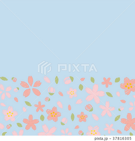 手書き風の桜のフレーム素材 37816305