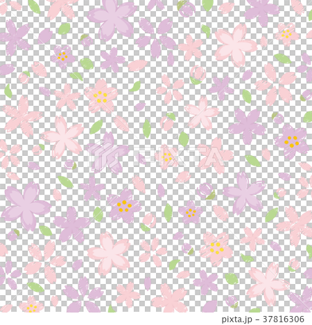 手繪櫻花背景材料 手繪櫻花背景材料 37816306