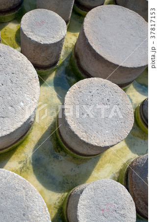 round concrete pillars on the beach in the water round concrete pillars on the beach in the water 37817153