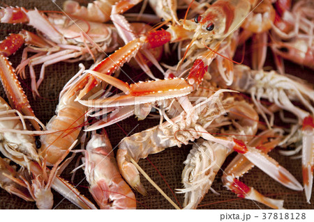 Scampi on a stall 37818128