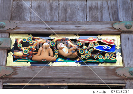 日光東照宮の猿の彫刻(大人の時期) 日光東照宮の猿の彫刻(大人の時期) 37818254