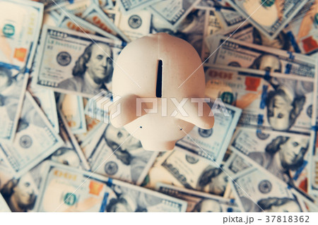 Piggy moneybox with dollar cash 37818362