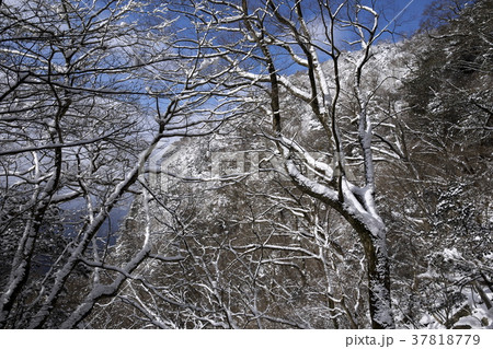 英彦山 四王寺の滝 英彦山 四王寺の滝 37818779