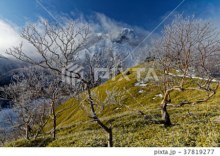五色山付近から見る日光白根山と霧氷 37819277