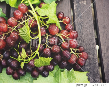 Fresh grapes with green leaves 37819752