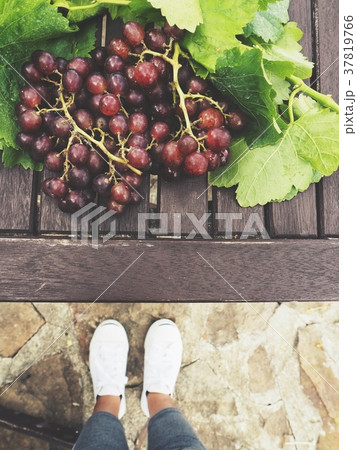 Selfie of grapes and sneakers Selfie of grapes and sneakers 37819766