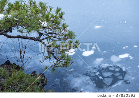 池の氷 37820592
