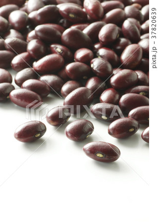 金時豆18 37820639