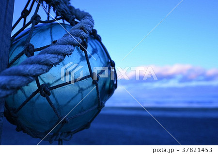 浮き玉　海 37821453